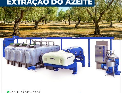 Processo de Extração de Azeite de Oliva